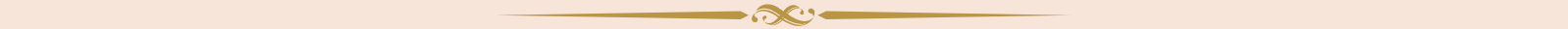 Brand header divider