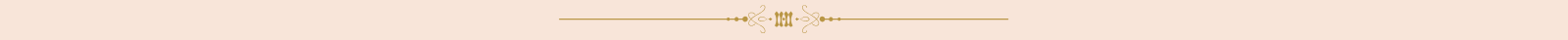 Brand header divider